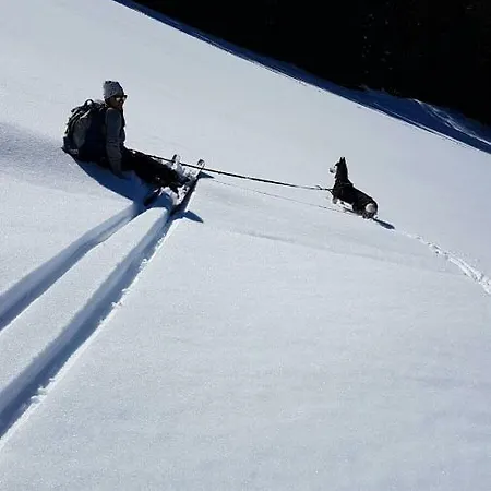 Schladminger Tauern アパート ハウス・イム・エンスタール