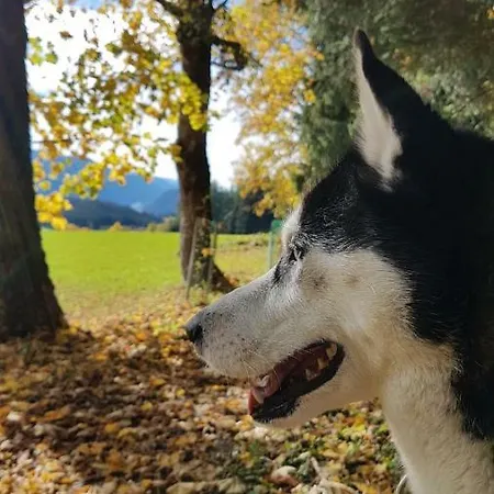 Schladminger Tauern * ハウス・イム・エンスタール