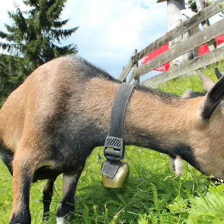 Schladminger Tauern * Haus im Ennstal