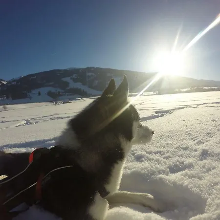 アパート Schladminger Tauern