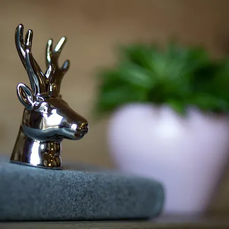 Schladminger Tauern * Haus im Ennstal