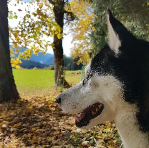 Schladminger Tauern * 恩斯塔尔豪斯