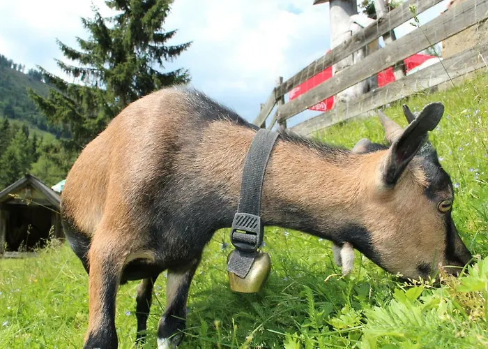 Schladminger Tauern * Haus im Ennstal
