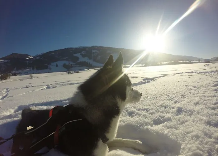 Apartament Schladminger Tauern